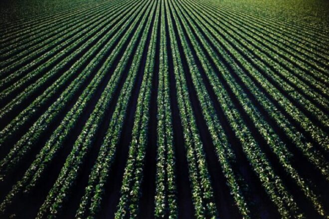 Neogric - Redefining The Agric Supply Chain In Africa - Banner 7