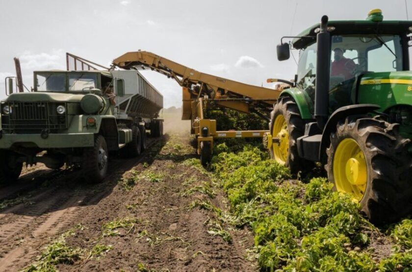 Neogric - Redefining The Agric Supply Chain In Africa - Banner 8