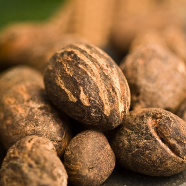 Neogric Shea Butter - We Facilitate The Supply & Export of Farm Produce To Local and Global Businesses - Redefining The Agric Supply Chain In Africa - Shea Butter