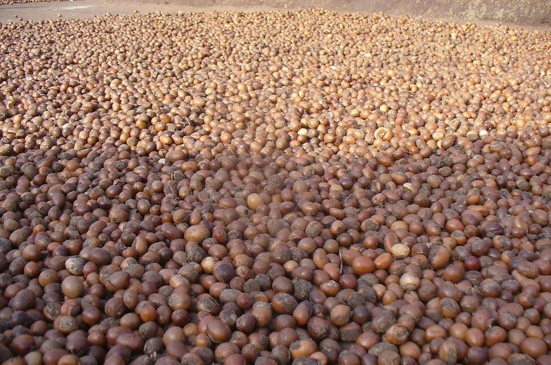 Neogric Shea Butter - We Facilitate The Supply & Export of Farm Produce To Local and Global Businesses - Redefining The Agric Supply Chain In Africa - Shea Butter