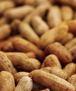 Peanut-Neogric-1
