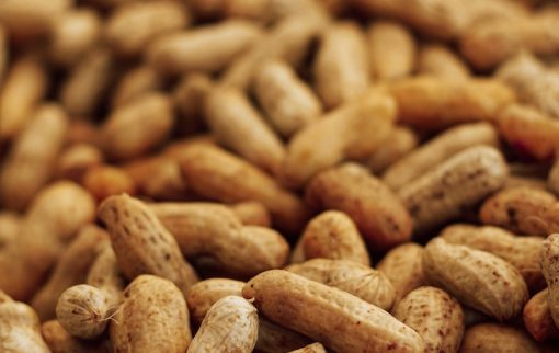 Peanut-Neogric-1