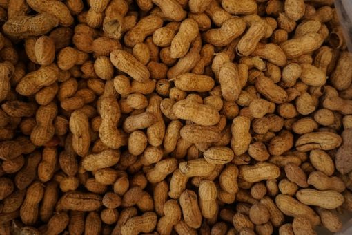 Peanut-Neogric-2