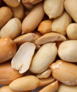 Peanut-Neogric-3