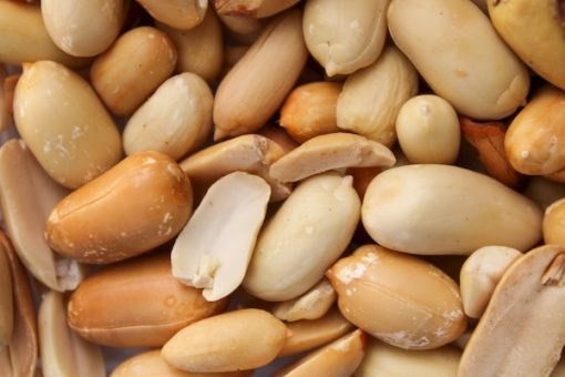Peanut-Neogric-3