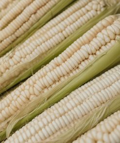 Neogric - Corn (White) (1)
