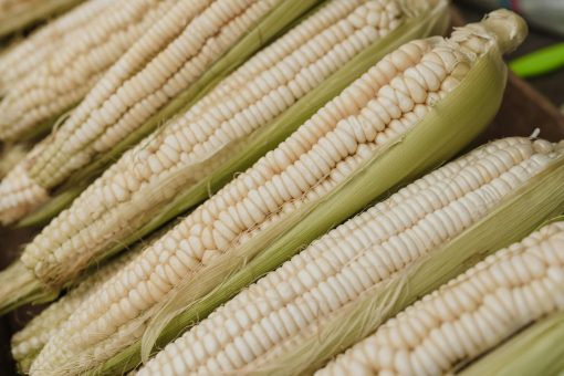 Neogric - Corn (White) (1)