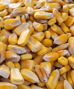 Neogric - Corn (Yellow) (1)