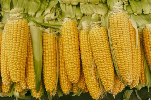 Neogric - Corn (Yellow) (3)