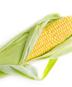 Neogric - Corn (Yellow) (4)