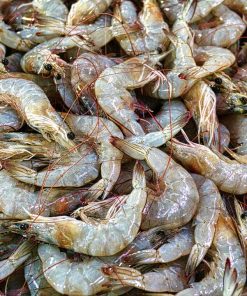 Neogric - Crayfish - Prawns (3)