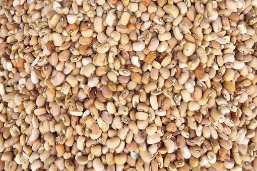 Neogric - Honey Beans (Oloyin)