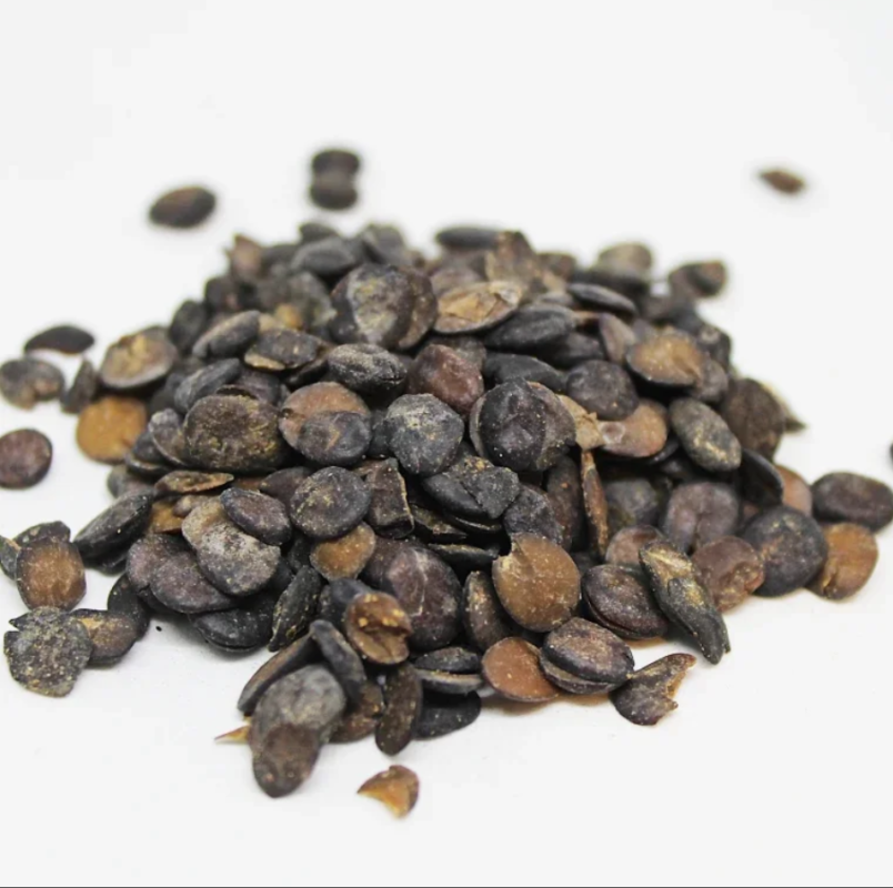 Locust Bean Seed Fresh Leaves for Export and Wholesale Trade - Neogric