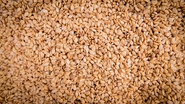Sesame Seed Fresh Leaves for Export and Wholesale Trade - Neogric