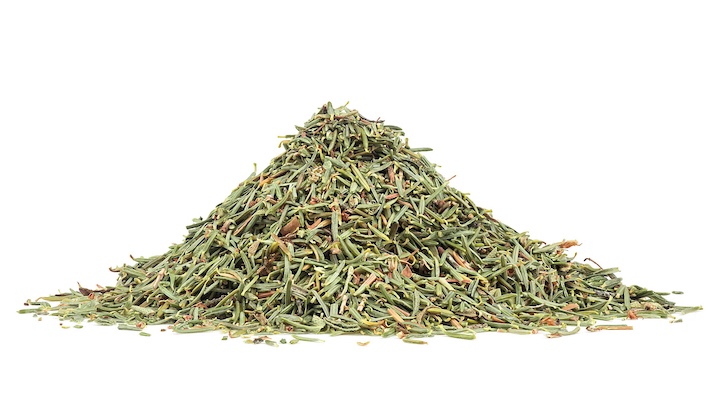 Thyme Fresh Leaves for Export and Wholesale Trade - Neogric