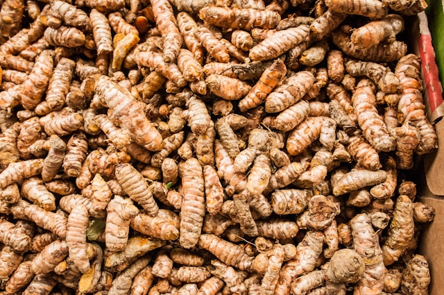 Turmeric Fresh Fruit for Export and Wholesale Trade - Neogric