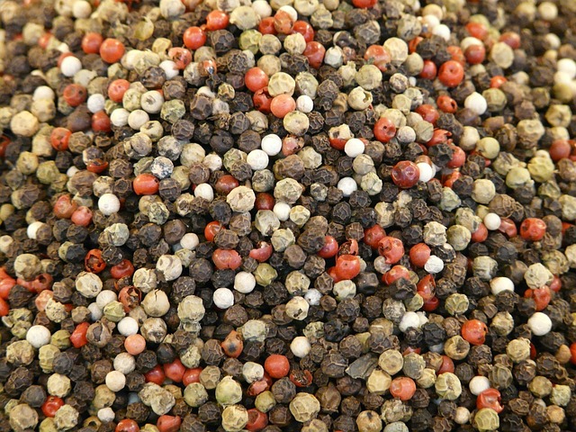 Black Peppercorn Fresh Leaves for Export and Wholesale Trade -Neogric