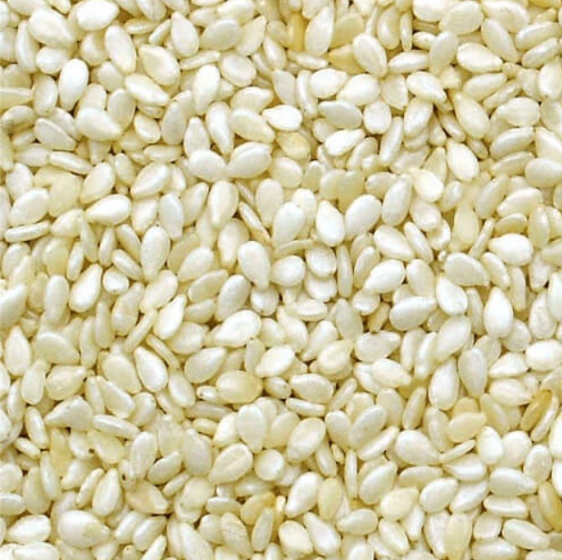White Sesame Seed Fresh Leaves for Export and Wholesale Trade - Neogric