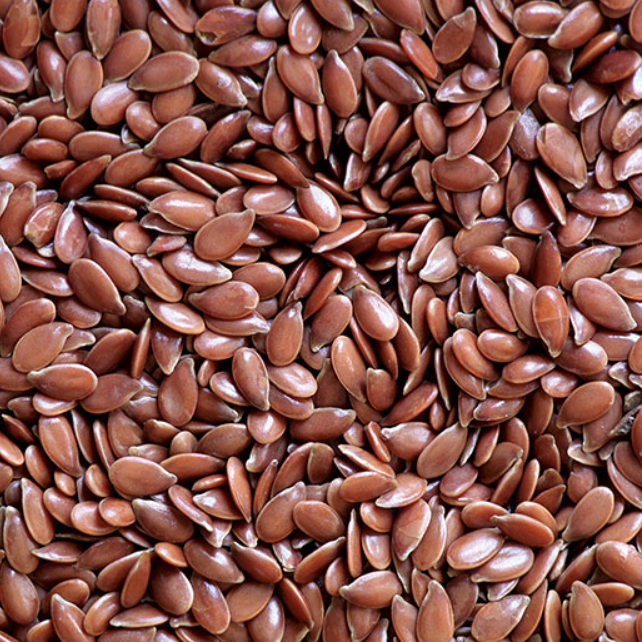 Flax Seed Fresh Leaves for Export and Wholesale Trade - Neogric