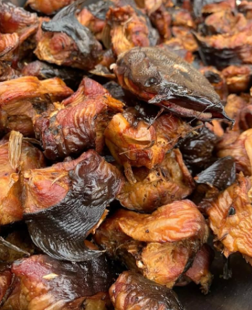 Catfish Cutlet Fresh Leaves for Export and Wholesale Trade - Neogric